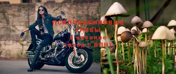 твердый Володарск