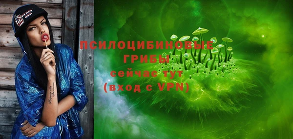 твердый Володарск